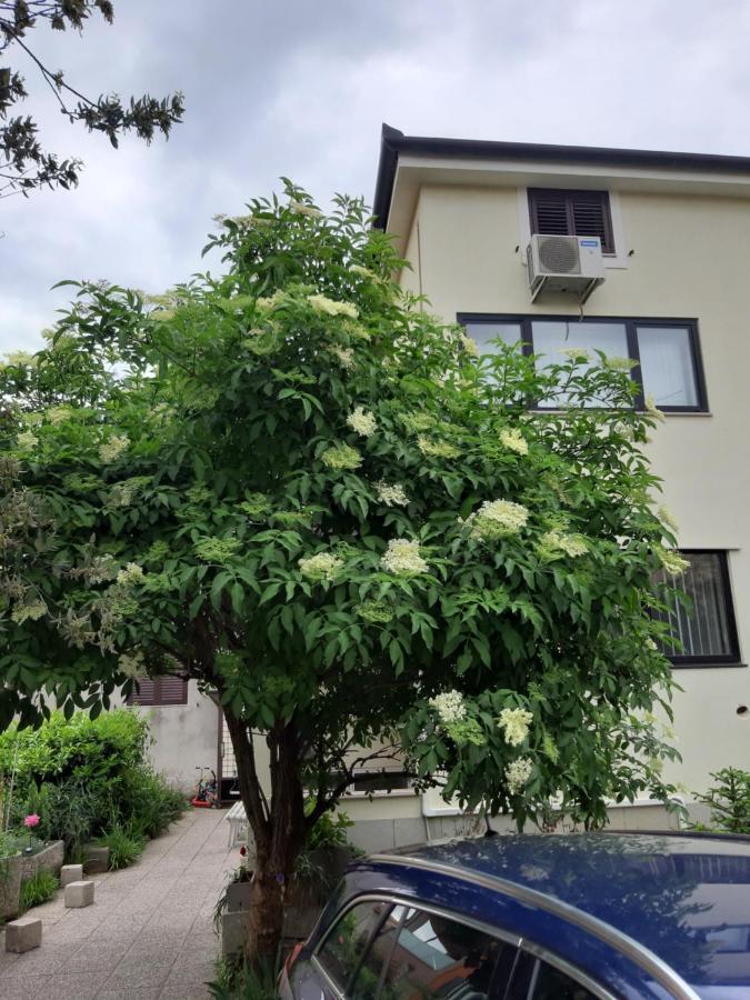 Apartma Lavela Izola Ngoại thất bức ảnh
